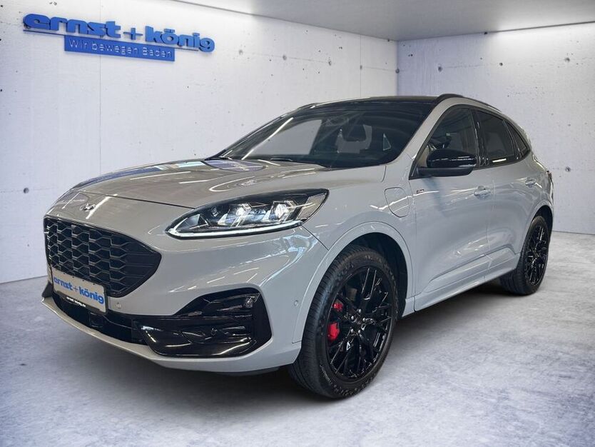 Kuga
