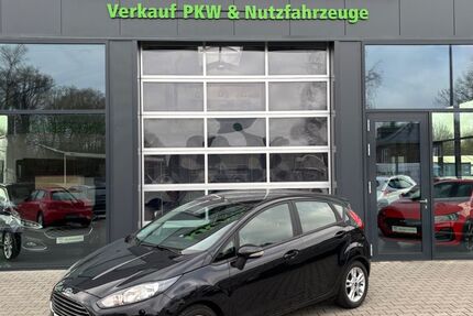 Ford Fiesta 43.653 km 8.475 &euro; Hörstel 48477