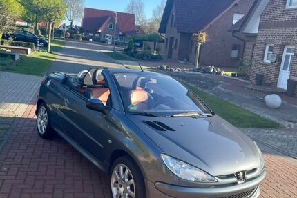 Peugeot 206 169.000 km 3.333 &euro; Haren 49733
