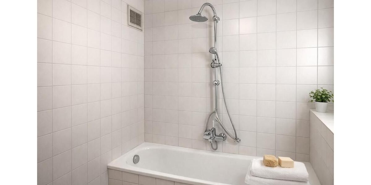 Dachgeschoßwohnung Mannheim Neckarstadt-Ost - 4 Zimmer, 102 m&sup2;, 265.000&euro; | Angebot:25768093