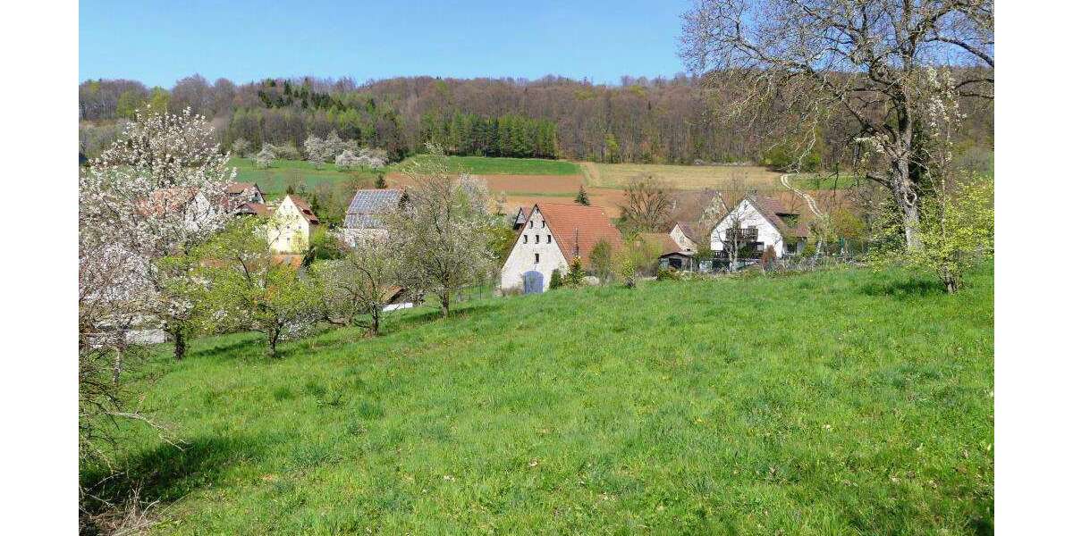 Grundstück Reichenschwand - 325.000&euro; | Angebot:25882803