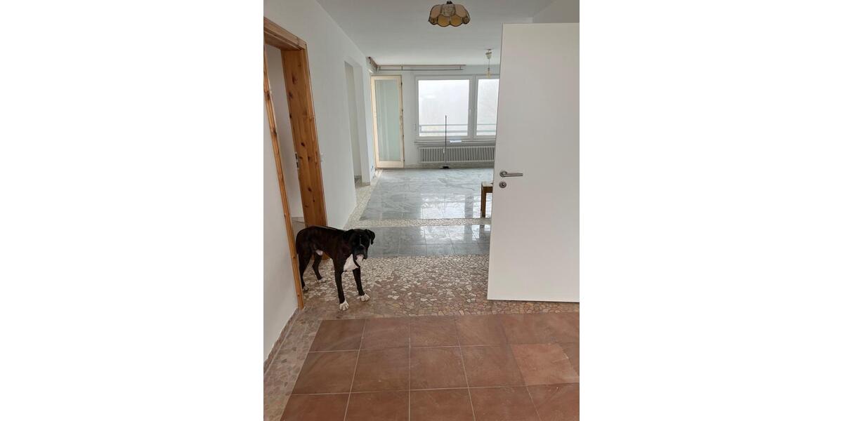 Helle 2 - 2,5 Zimmer Wohnung zu vermieten zimmer