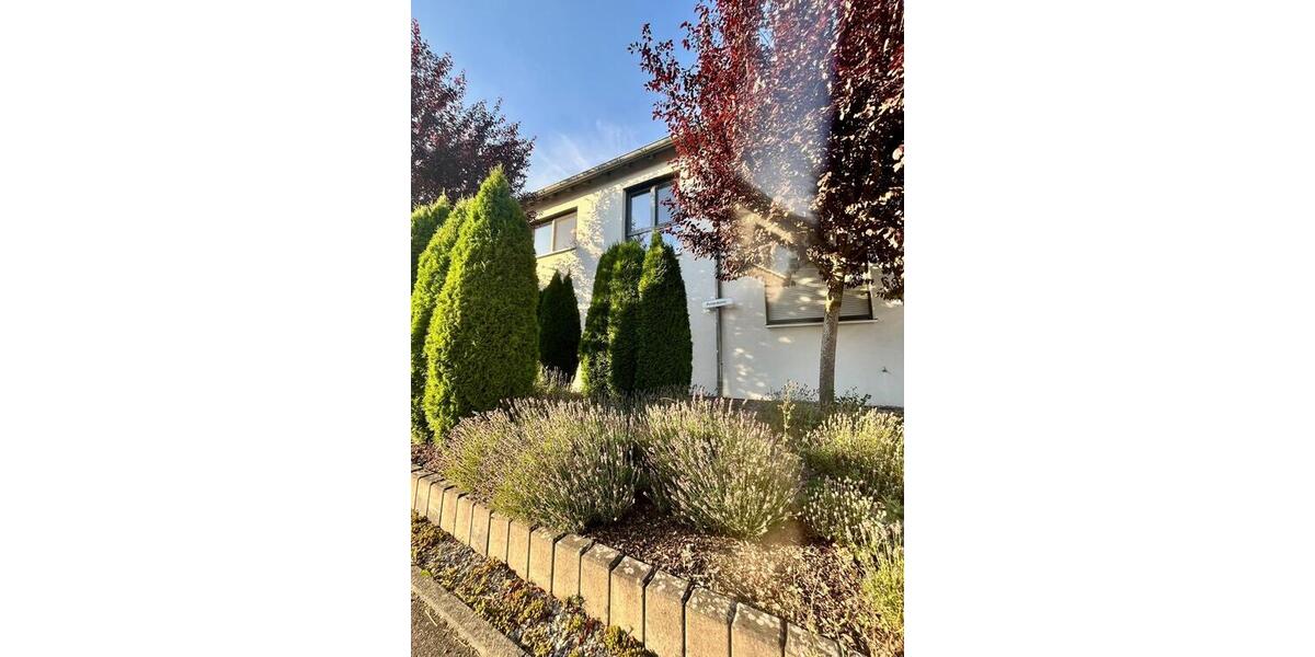 Großzügiges Einfamilienhaus mit Einliegerwohnung - provisionsfrei 7 zimmer