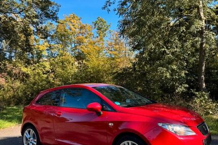 Seat Ibiza 152.000 km 4.000 € Buchholz 56154