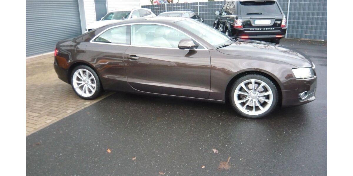 Audi A5 10.000 km 11.900 &euro; Uchte 31600