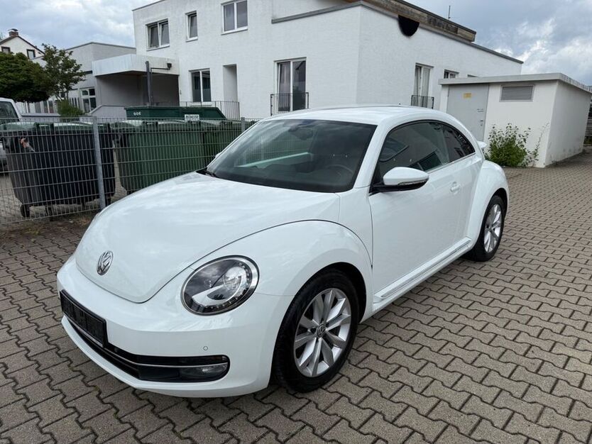 Beetle
