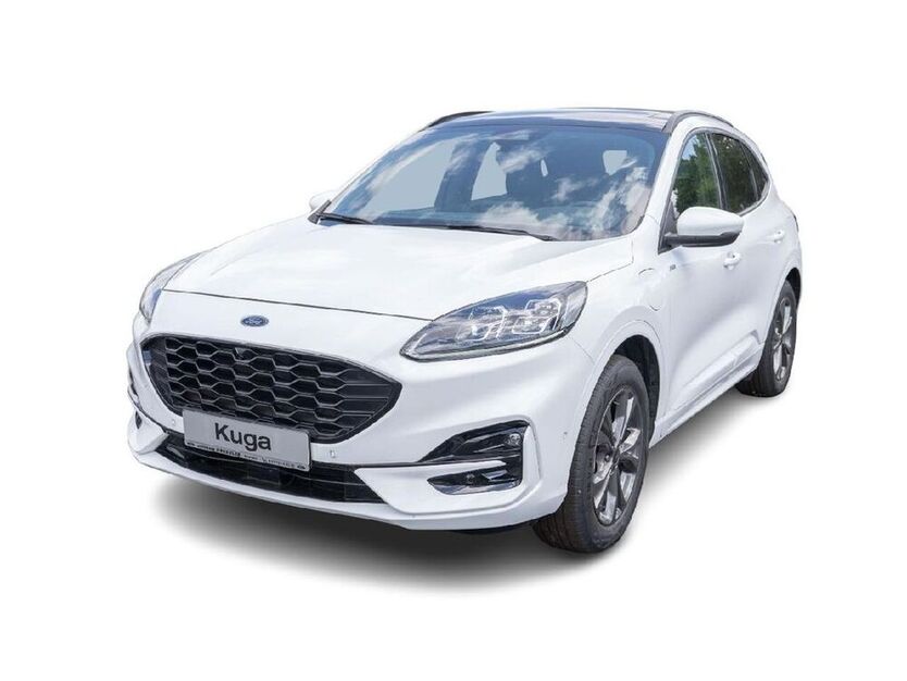 Kuga