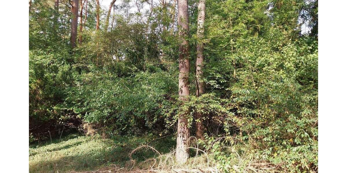 Grundstück Seevetal - Ramelsloh Ramelsloh - 775.000&euro; | Angebot:25661952