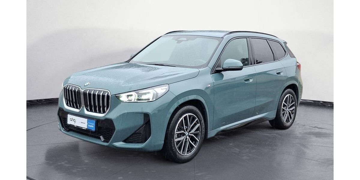 BMW X1 25.803 km 43.930 &euro; Lahr 77933