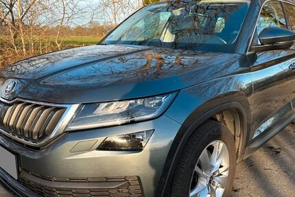 Skoda Kodiaq 114.900 km 19.000 &euro; Lastrup 49688