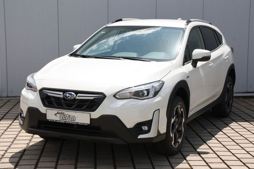 XV