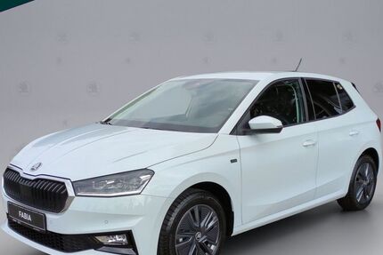 Skoda Fabia 9.000 km 16.890 &euro; Emmendingen 79312