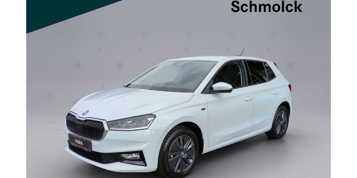 Skoda Fabia 9.000 km 17.390 &euro; Emmendingen 79312