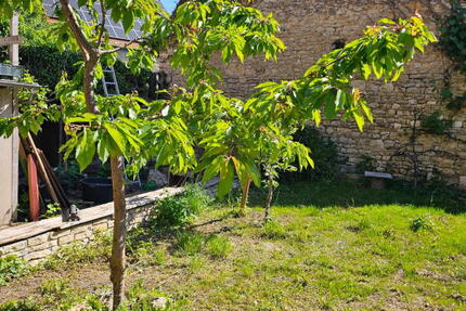 ObjNr:19691 - In 2004 voll saniertes 1- Zweifamilienhaus mit kleinem Garten und Hof 7 zimmer