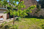 ObjNr:19691 - In 2004 voll saniertes 1- Zweifamilienhaus mit kleinem Garten und Hof 7 zimmer