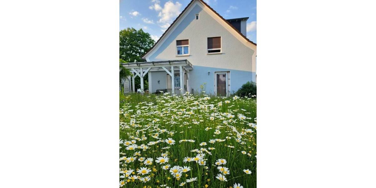 Mehrfamilienhaus, Wohnhaus Bad König - 6 Zimmer, 177 m&sup2;, 365.000&euro; | Angebot:26798581
