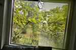 Einfamilienhaus Stralsund - 2 Zimmer, 30 m&sup2;, 12.500&euro; | Angebot:26431391
