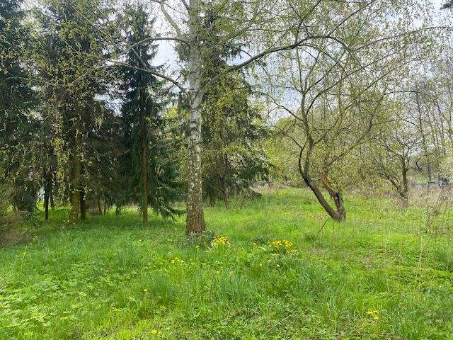 Grundstück Petershagen/Eggersdorf Petershagen - 499.900&euro; | Angebot:25777563