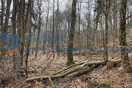 Grundstück Treuchtlingen - 29.349&euro; | Angebot:25964709