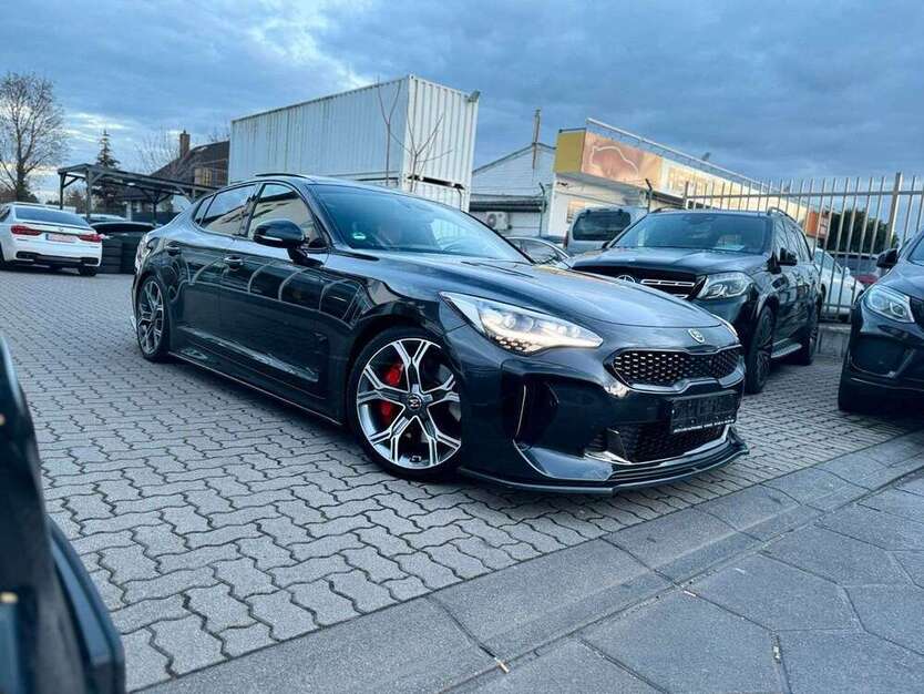 Stinger