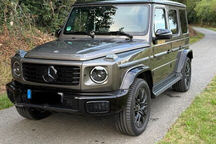 Mercedes-Benz G 450 8.958 km 172.550 &euro; Niederweiler 55491