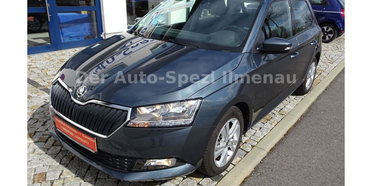 Skoda Fabia 8.000 km 16.995 &euro; Ilmenau 98693