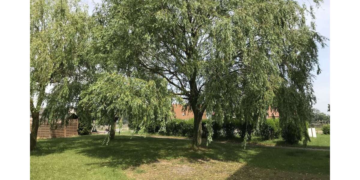 2 Zimmer Wohnung mit Einbauküche und Garage optional! - Hochparterre Galenbeck Sandhagen | Angebot:19552806