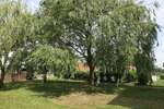 2 Zimmer Wohnung mit Einbauküche und Garage optional! - Hochparterre Galenbeck Sandhagen | Angebot:19552806