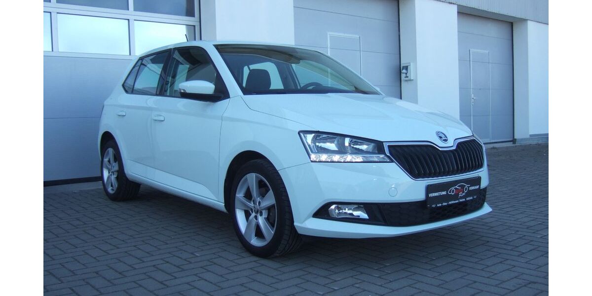Skoda Fabia 115.099 km 8.490 &euro; Mühlhausen 99974
