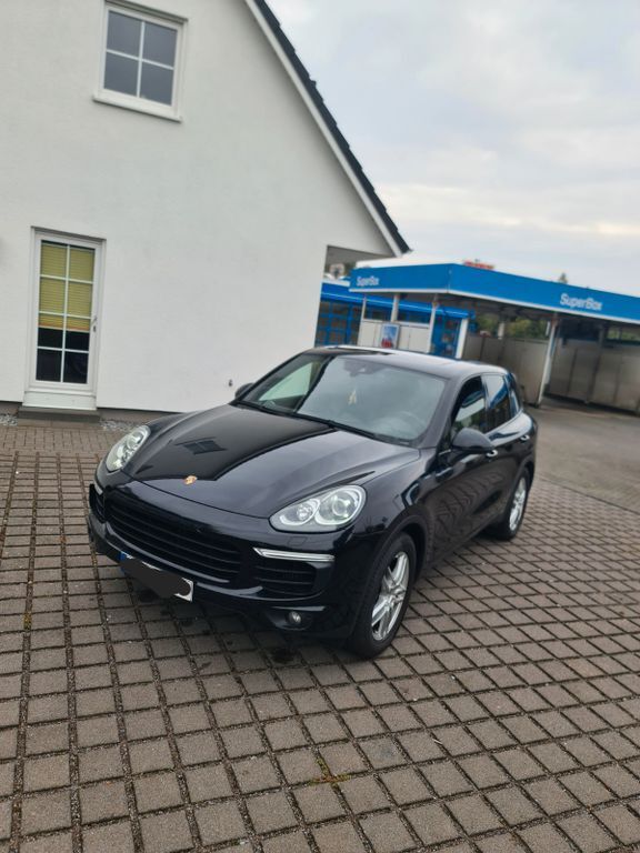 Cayenne
