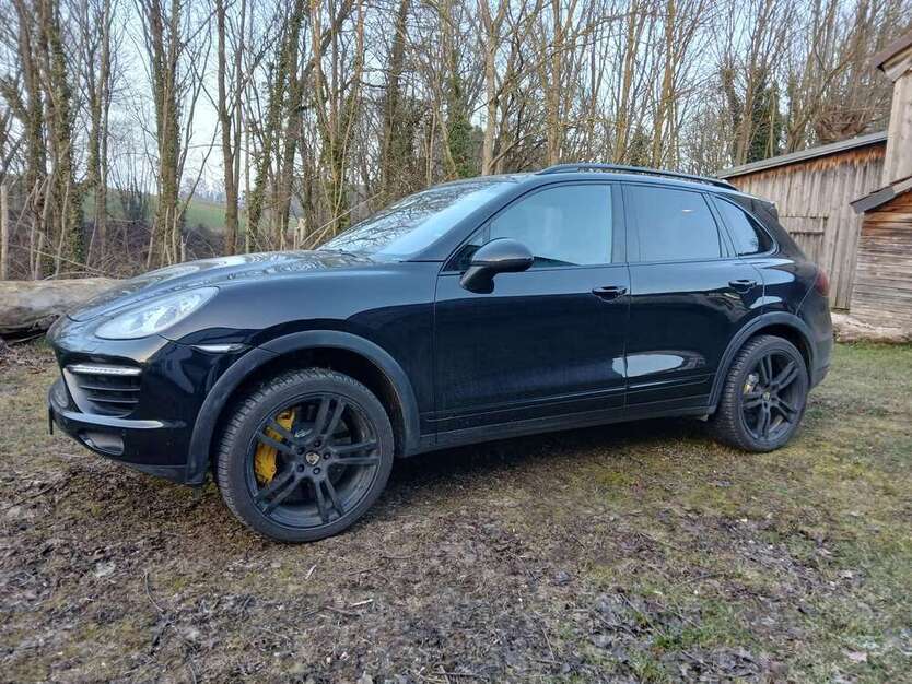 Cayenne