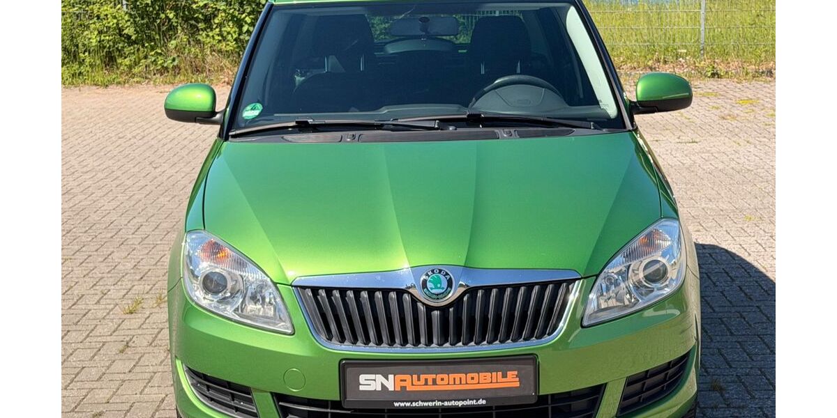 Skoda Fabia 179.000 km 4.900 &euro; Schwerin 19061