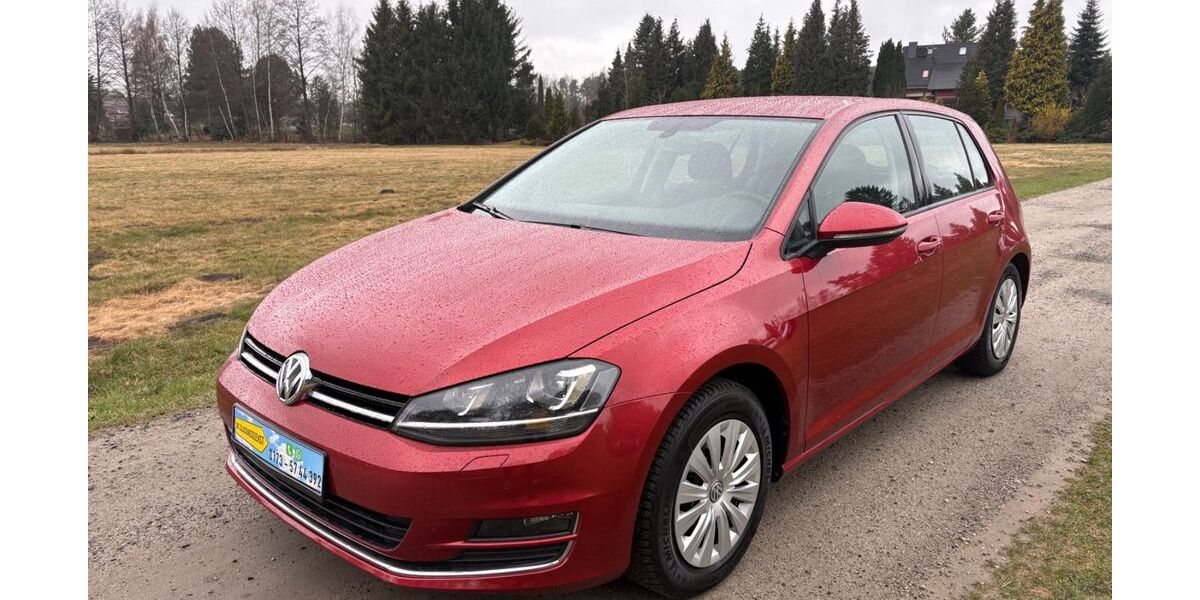 VW Golf 129.890 km 12.990 &euro; Tschernitz 03130