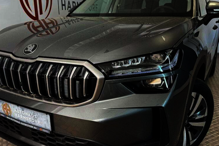 Skoda Kodiaq 2.750 km 39.790 &euro; Harmstorf 21228