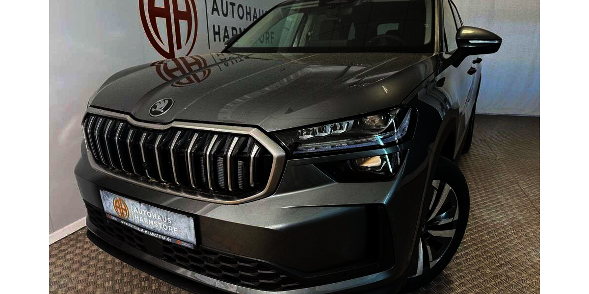 Skoda Kodiaq 2.750 km 39.790 &euro; Harmstorf 21228
