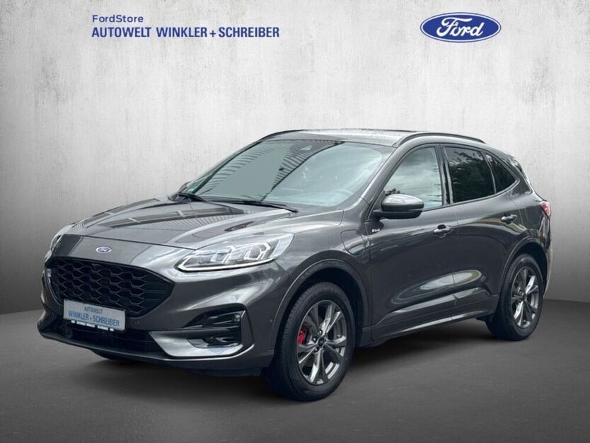 Kuga