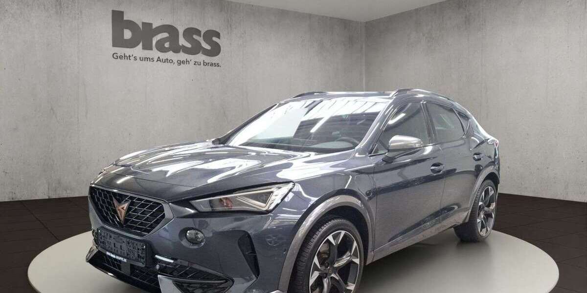 Cupra Formentor 42.329 km 26.300 &euro; Dietzenbach 63128