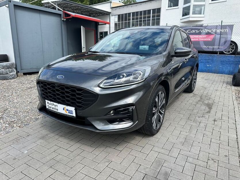Kuga