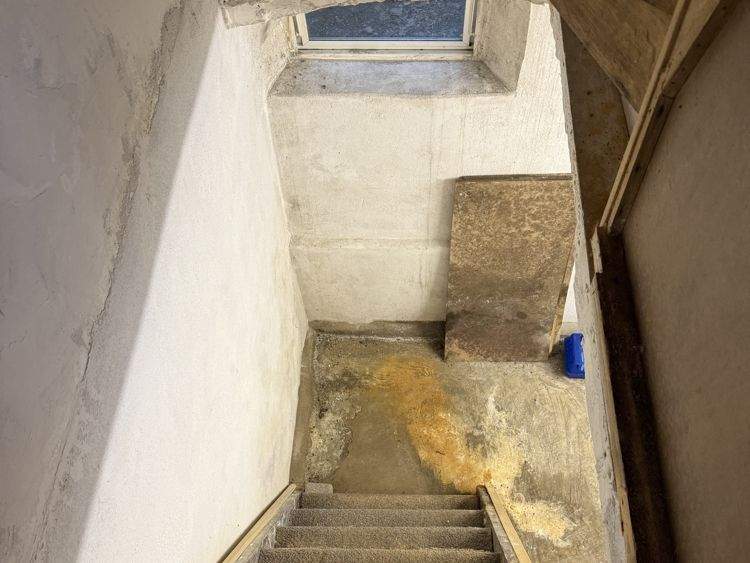 Einfamilienhaus Jever - 2 Zimmer, 76 m&sup2;, 72.000&euro; | Angebot:25815210