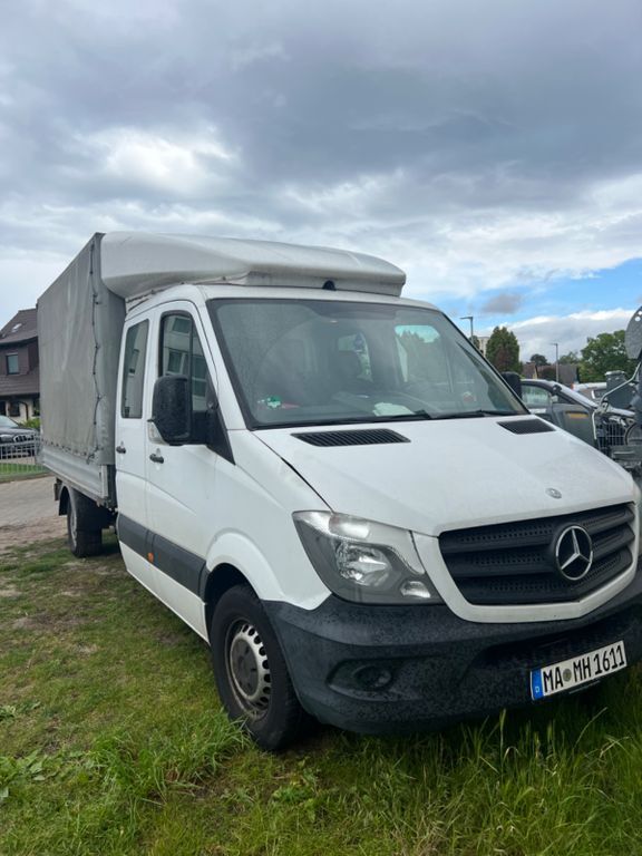 Sprinter