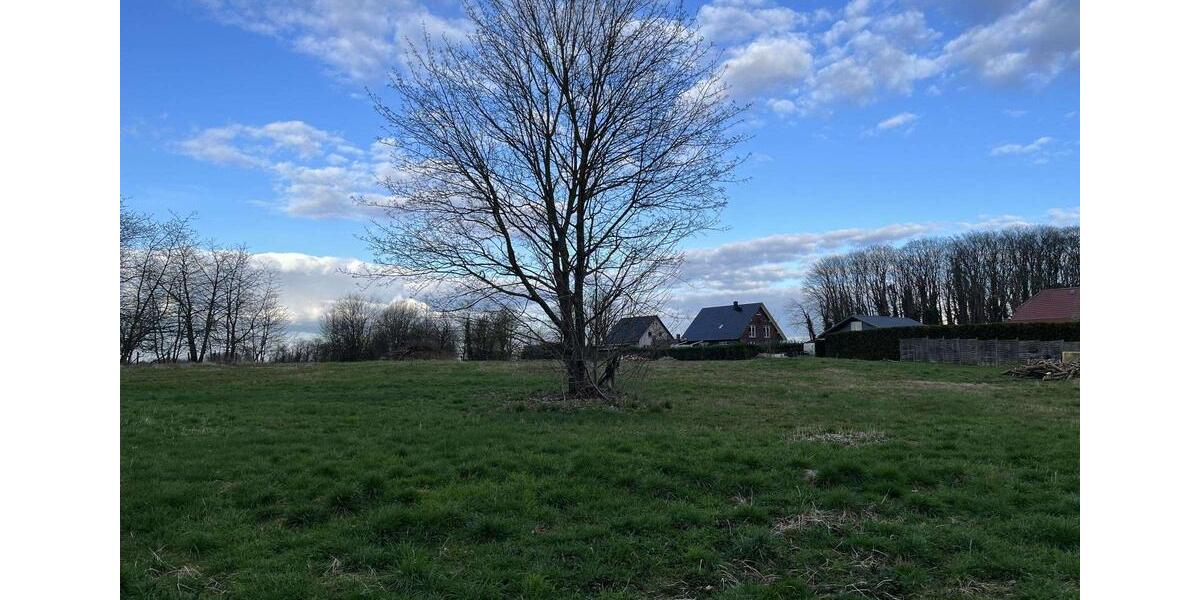 Grundstück Amt Neuhaus - 95.000&euro; | Angebot:11763352