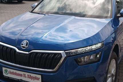 Skoda Kamiq 3.000 km 24.790 € Eppendorf 09575