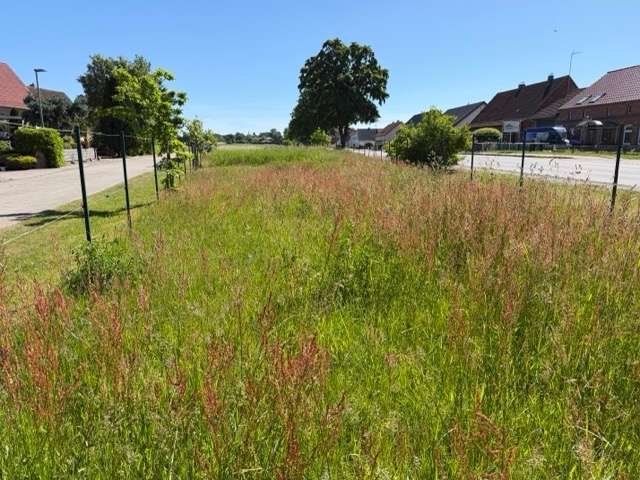 Grundstück Neu Brenz Neu Brenz - 43.000&euro; | Angebot:26785666