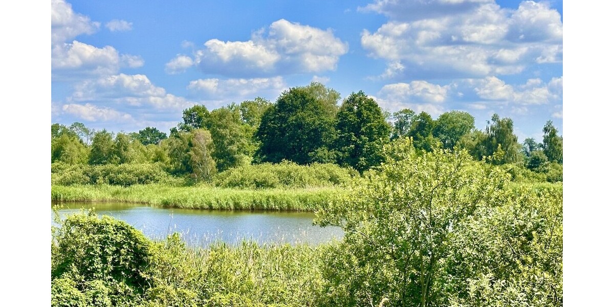 HORN IMMOBILIEN ++ Einfamilienhaus in Lebehn – Wohnen in Seenähe mit großem Grundstück - Einfamilienhaus Krackow / Lebehn Lebehn | Angebot:27034671