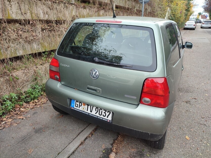 Lupo