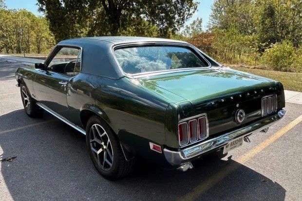 Mustang