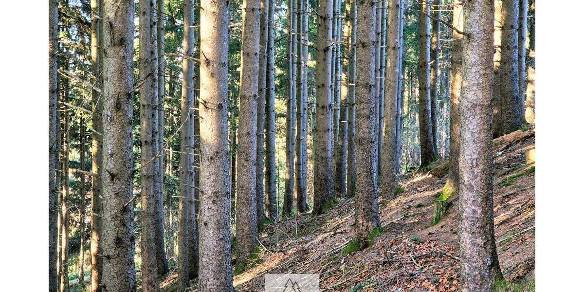 Grundstück Eggenthal Völken - 84.900&euro; | Angebot:25689866