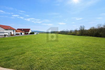 ATTRAKTIVE ENTWICKLUNGFLÄCHE IN BEGEHRTER LAGE - Grundstück Seybothenreuth | Angebot:25645532