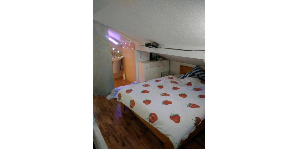 Dachgeschoßwohnung Dingolfing - 1 Zimmer, 50 m&sup2;, 530&euro; | Angebot:24627911