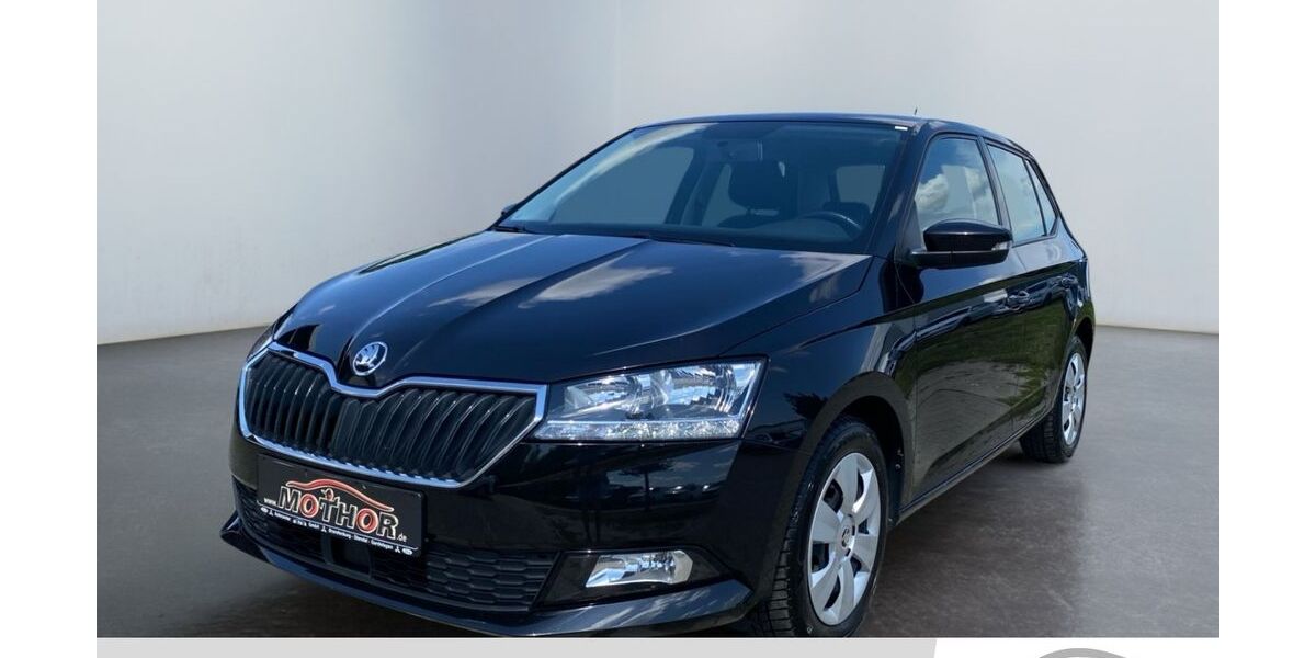 Skoda Fabia 49.624 km 13.180 &euro; Gardelegen 39638